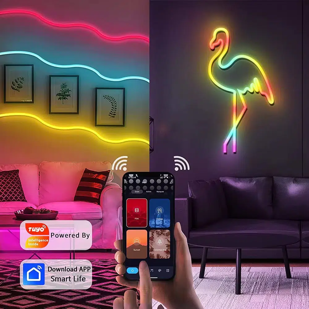 Led Néon 10M SMART